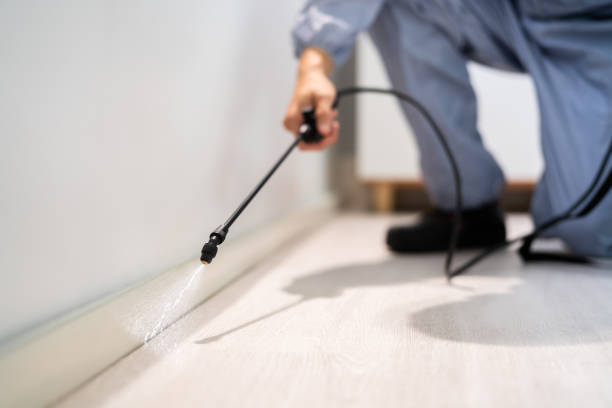 Licensed Wasp Removal service in Wallace, LA - Show Me Pest Control