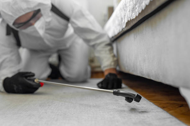 Professional Ant Control technician working in Wallace, LA