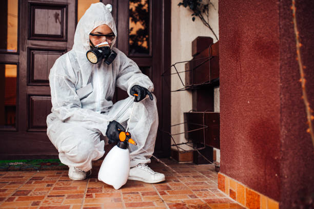 Reliable Wasp Removal contractor in Wallace, LA by Show Me Pest Control