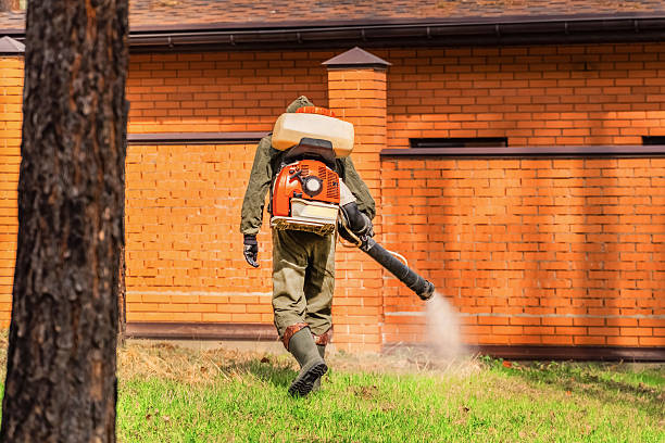 Top rated local Wasp Removal specialists in Wallace, LA